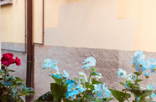 Lecco House | The Maison d 'Alizè.