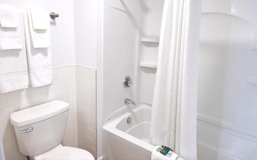 Laconia Resort | The Margate Resort