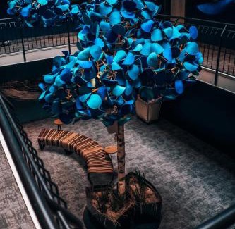 Timmendorfer Strand Hotel | The Oceans