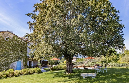 Cassagne House | The Ostal Cassinia cottage