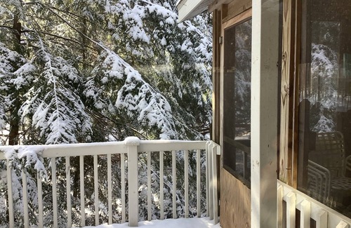 South Haven Cottage | The Perfect Place for Your Michigan Vacation