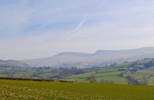 Llandovery House | The Pig Sty