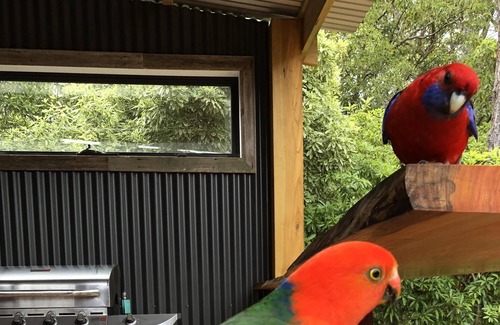 Coongulla House | THE PLACE TO BE FOR AN AWESOME HOLIDAY AT LAKE GLENMAGGIE. 5 mins from the lake