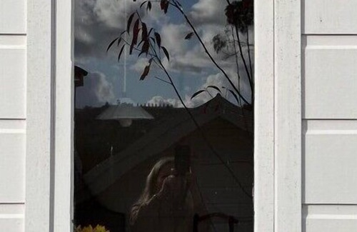 Bowral House | The Potting Shed at Bunya House