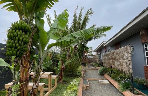 Arusha Bed & Breakfast | THE SAFARI HUB
