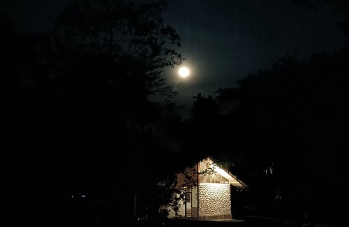 Tarapoto House | The Santa Ana bungalows