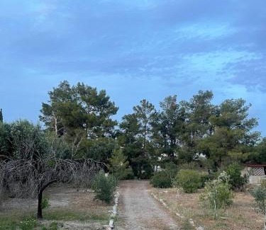 Lagonissi House | The Simple Space, a pause near the sea