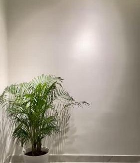 Nagaon Apartment | The STAY by Baeblenders, Nagaon