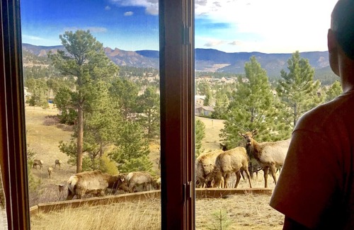 Carriage Hills House | The View House