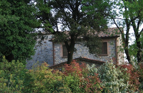 Ficulle Villa | The villa offers a cozy oasis of relaxation with a panoramic swimming pool.
