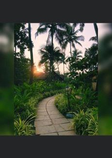 Anjuna Hotel | The Village Anjuna