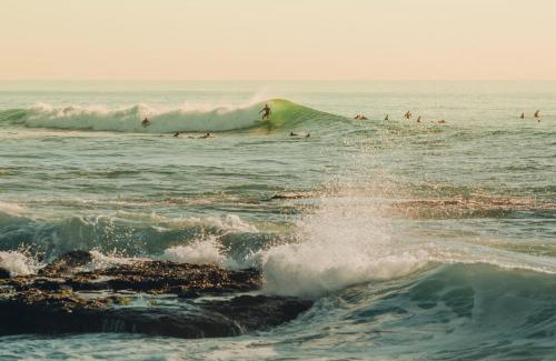 Beach Barber Tract House | The Wavehouse Walk To Beach Yard Bird Rock