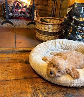 Tempsford Hotel | The Wheatsheaf in Tempsford