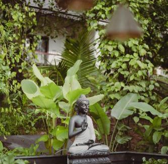 Chikkamagaluru Resort | The Wild Rest Nature Resort