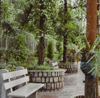 Chikkamagaluru Resort | The Wild Rest Nature Resort