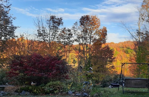 Austin Ski Chalet | The Wild Roses chalet with 2 views