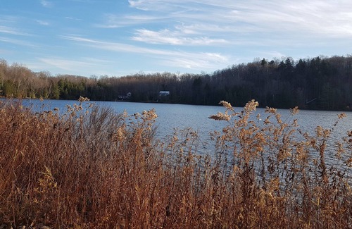 Austin Ski Chalet | The Wild Roses chalet with 2 views