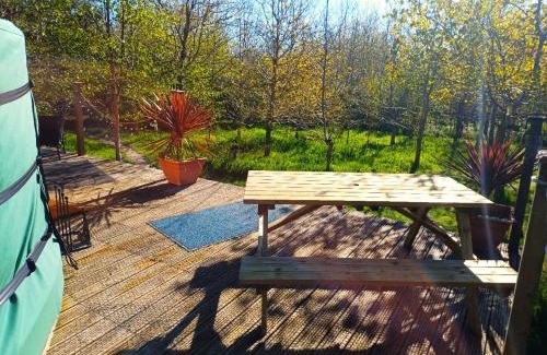 Saint Erth Praze Other | The Yurt in Cornish woods a Glamping experience