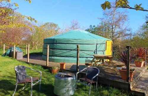 Saint Erth Praze Other | The Yurt in Cornish woods a Glamping experience