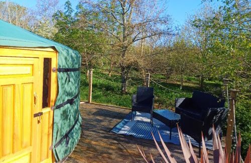 Saint Erth Praze Other | The Yurt in Cornish woods a Glamping experience