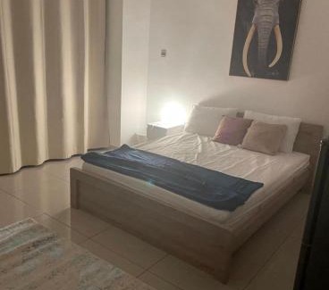 Dubai Apartment | Tiger Tower