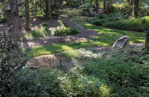 Chapel Hill House | Timber Frame Medicine House on 5 acres