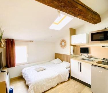 Nimes City Centre Apartment | Tiny Flat - Coeur de ville studio sous les toits
