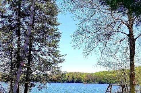 Presque Isle Villa | Tiny House Cabin-Presque Isle Campground #30