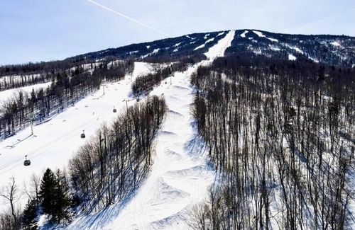 Jamaica House | Tiny House, fire place, fire pit, Stratton; 5 min. 3 min WALK to Pikes Falls!