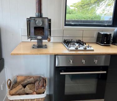 Wanaka Apartment | Tiny house with mountain views, indoor and outdoor fire, private courtyard garden