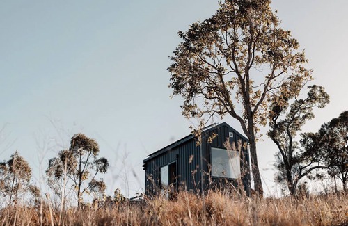 Coalbank Cabin | Tiny Norah Summary: T