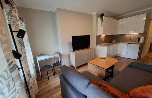 Zgorzelec Apartment | Tiny