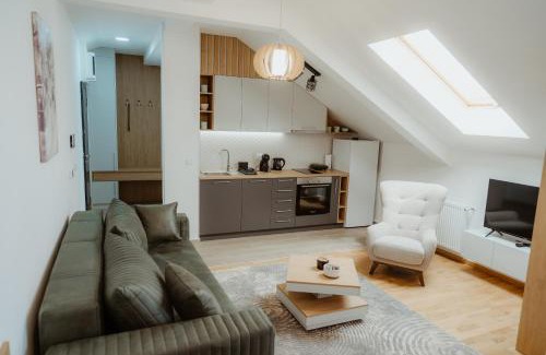 Arandelovac Apartment | TOP VIEW apartment 40