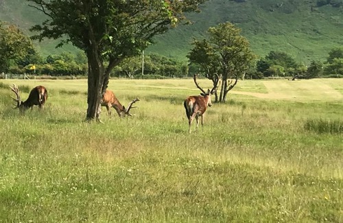 Kilmory Bed & Breakfast | Torrlinn Villa