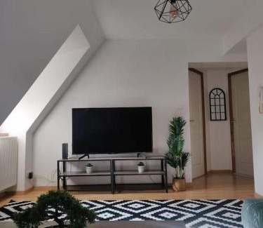 Molsheim Apartment | Très Bel appart charmant 85m2 parking gratuit