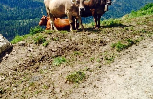 Ardez House | Trais Fluor