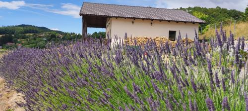 Uhliska House | Tranquil cottage in Banská Štiavnica mountain