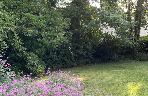 Blaencelyn Cottage | Tranquil country cottage 5 minute drive to beach