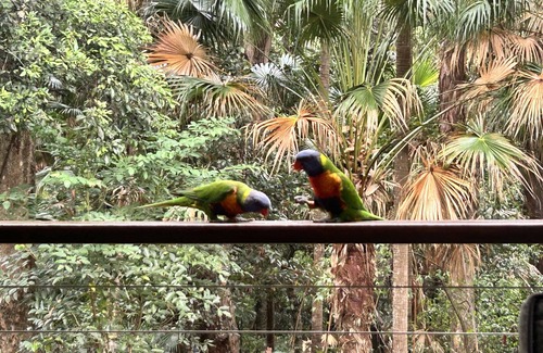Smiths Lake House | Tranquil tropical oasis. Just a short walk to the lake.