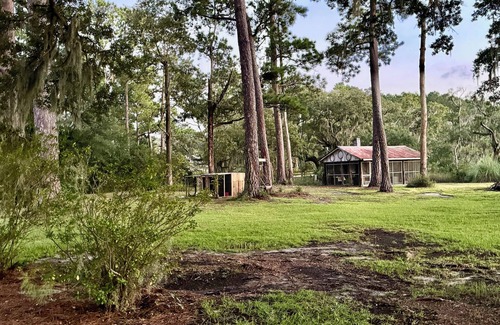 Redhill Cottage | Tranquil Water Front cottage, 35 Min to Charleston, Beach 20 min, Pet-Friendly