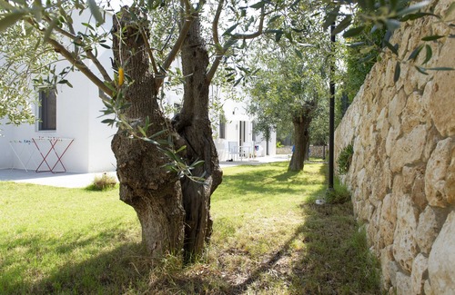 Mattinata House | Tranquility and comfort among ancient olive trees, near the sea.