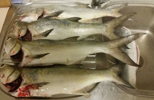 Dundee Beach House | Tranquillity @ Dundee includes spa & close to the beach approximately 5 min walk