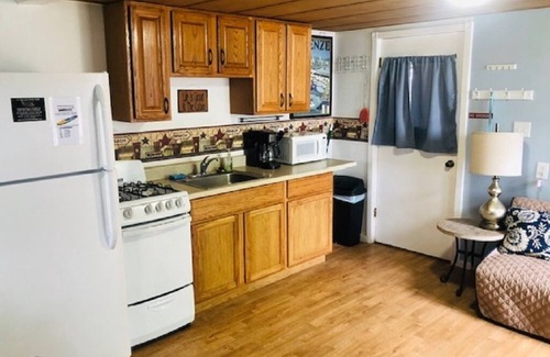 Mayfield Cabin | Traverse City near downtown Waterfront Spider Lake, On-site Rentals, Pets ok