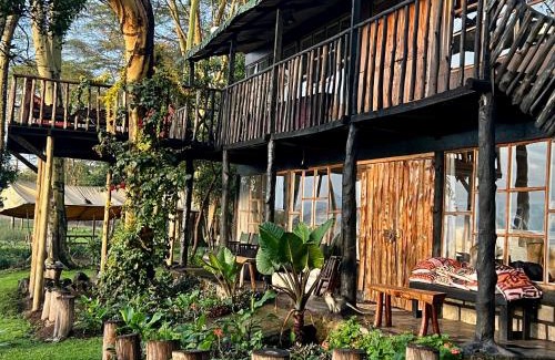 Gilgil Cabin | TREE HOUSE Lodge