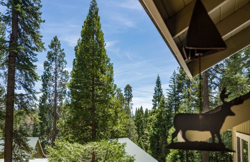 Fish Camp House | Tree Top Cabin - 2 miles to Yosemite's South Gate!
