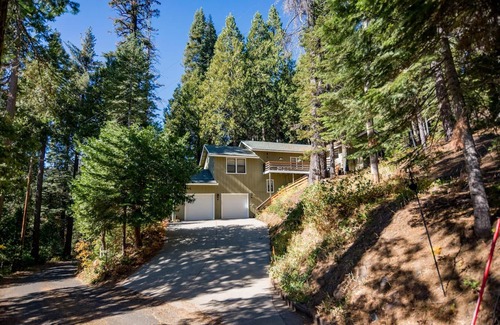 Fish Camp House | Tree Top Cabin - 2 miles to Yosemite's South Gate!