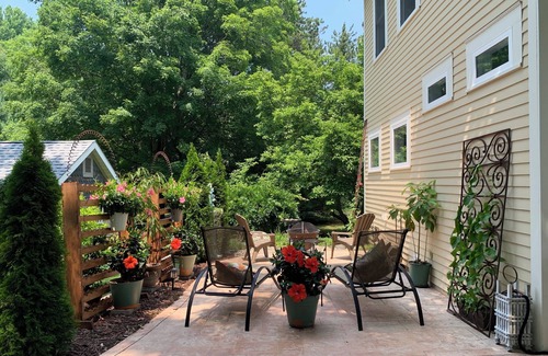 South Haven House | Tree Top Views Close to Beaches and Downtown