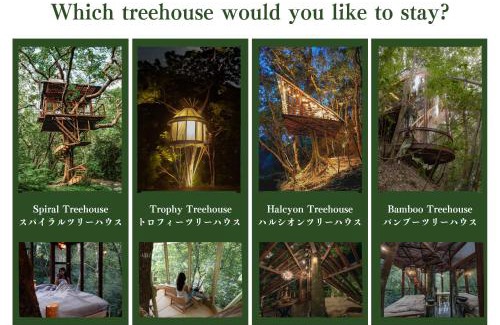 Genka Hotel | Treeful Treehouse Sustainable Resort