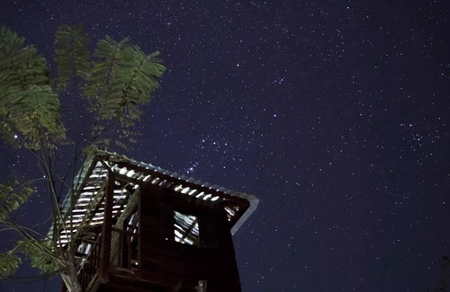 Mae Fa Luang House | Treehouse and swimming pool