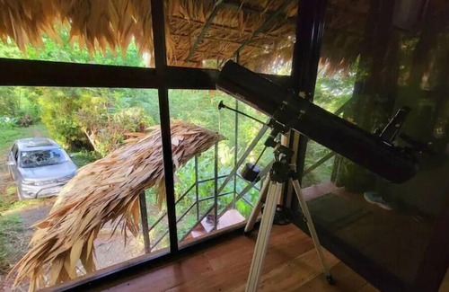 Cocles House | TreeTop Mansion, where the jungle meets the sea!